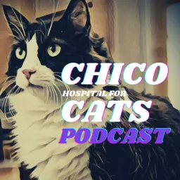 Chico (Hospital for) Cats Podcast artwork
