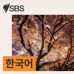 SBS Korean - SBS 한국어 프로그램 Podcast artwork