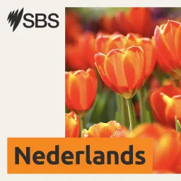 SBS Dutch - SBS Nederlands Podcast artwork