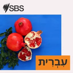 SBS Hebrew Podcast artwork