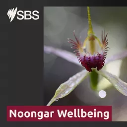 Noongar Wellbeing Podcast artwork