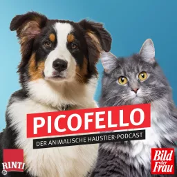 Picofello – der animalische Haustier-Podcast artwork