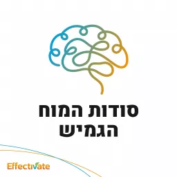 סודות המוח הגמיש