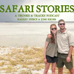Safari Stories Podcast artwork