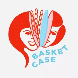 Disc Golf Basket Case