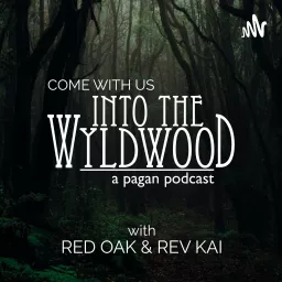 Into the Wyldwood Podcast artwork