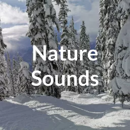 Nature Sounds Podcast artwork