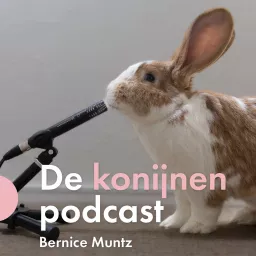 De konijnenpodcast artwork