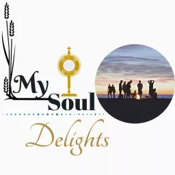 My Soul Delights - An Invitation to Journey Together in our Catholic Faith No Matter where You are in the Journey. Podcast artwork