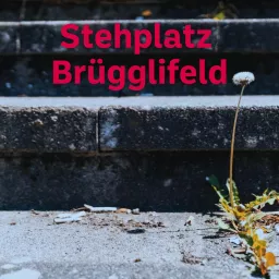 Stehplatz Brügglifeld Podcast artwork