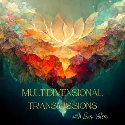 Multidimensional Transmissions Podcast artwork