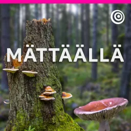 Mättäällä-podcast