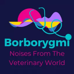 Borborygmi: Noises From The Veterinary World Podcast artwork