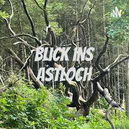Blick ins Astloch Podcast artwork