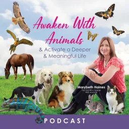 Awaken With Animals Podcast artwork