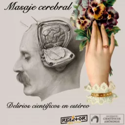 Masaje cerebral Podcast artwork