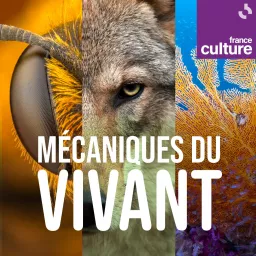 Mécaniques du vivant