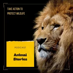 Animal Stories Podcast artwork