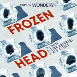 Frozen Head Podcast artwork