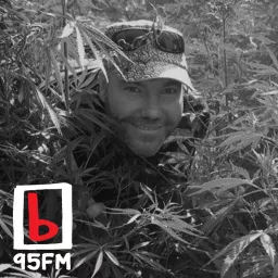 95bFM: Marijuana Media Podcast artwork