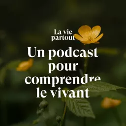La vie partout Podcast artwork