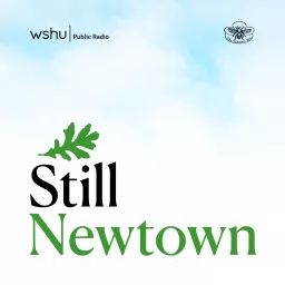 Still Newtown Podcast artwork