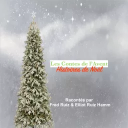 Les Contes de l'Avent, histoires de Noël Podcast artwork