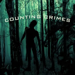 Counting Crimes