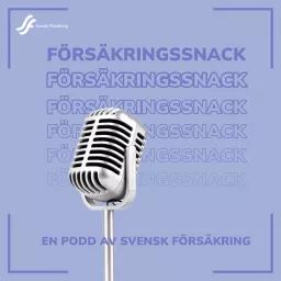 Försäkringssnack