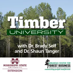 Timber University