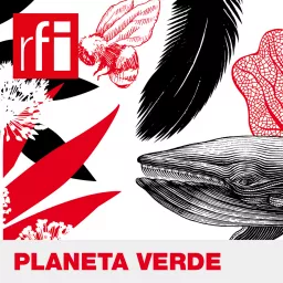 Planeta Verde Podcast artwork