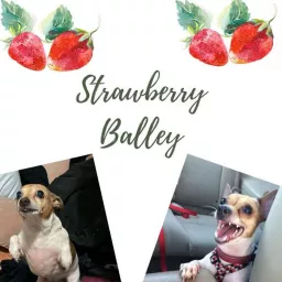 Strawberry Balley Podcast artwork