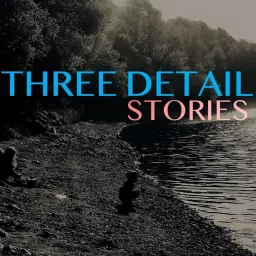 Three Detail Stories Podcast artwork