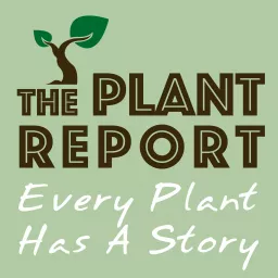 The Plant Report- Every Plant Has A Story Podcast artwork