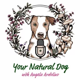 Your Natural Dog with Angela Ardolino - Formerly It's A Dog's Life Podcast artwork