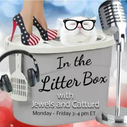 In the Litter Box Podcast artwork