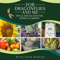 For Dragonflies And Me Podcast artwork