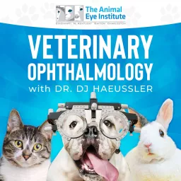Veterinary Ophthalmology Podcast artwork