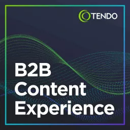 B2B Content Experience