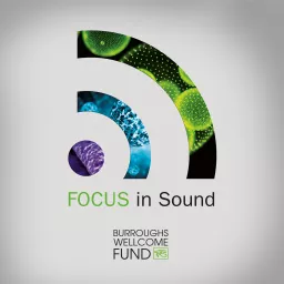 Focus In Sound Podcast artwork