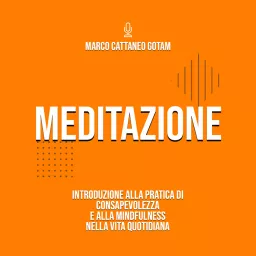 Meditazione: Introduzione alla Pratica di Consapevolezza e alla Mindfulness nella Vita Quotidiana Podcast artwork