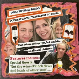 Two Trying Birds Podcast artwork
