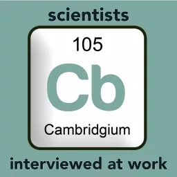 scientists at work Podcast artwork