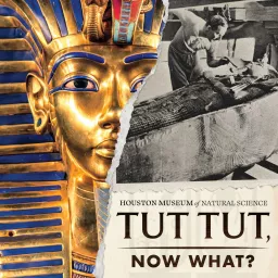 Tut Tut, Now What? Podcast artwork