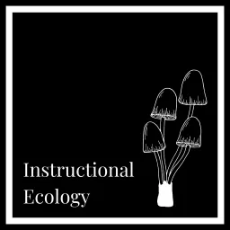 Instructional Ecology