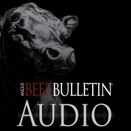 Angus Beef Bulletin Audio Podcast artwork