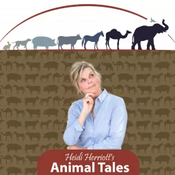 Animal Tales