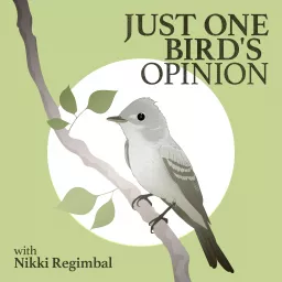 Just One Bird's Opinion Podcast artwork