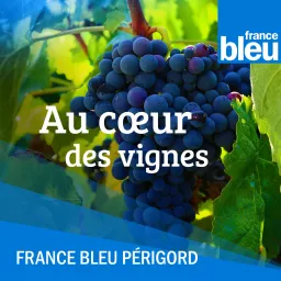 Au cœur des vignes de Dordogne