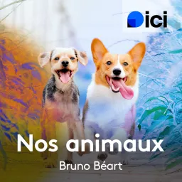 Nos animaux, ici Nord